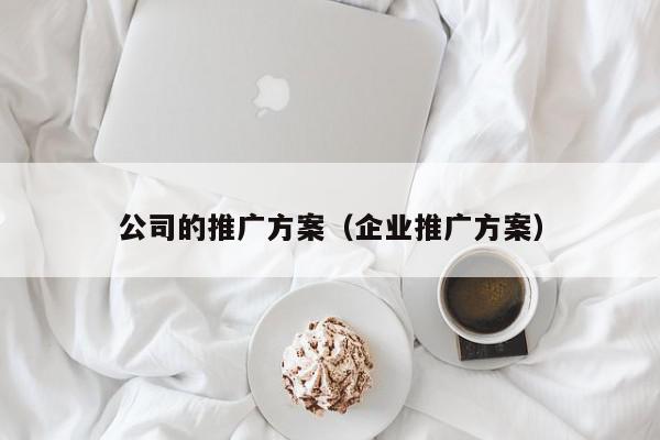 公司的推廣方案(企業推廣方案)